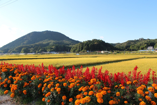 天栄村の風景写真