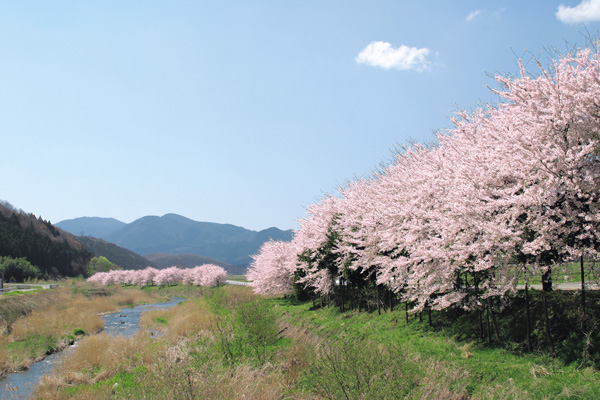天栄村の春の風景