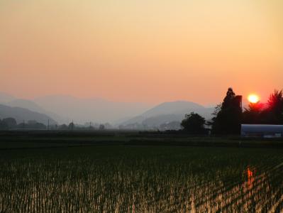 夕焼け