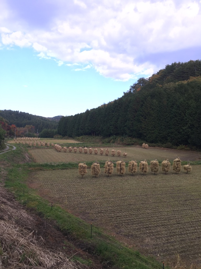 幡谷邸からの風景