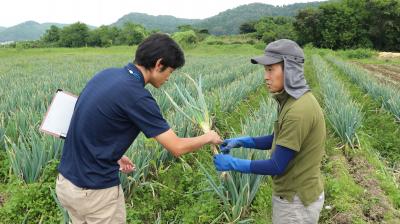 栽培指導の画像