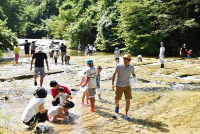 体験ツアー川遊びの画像