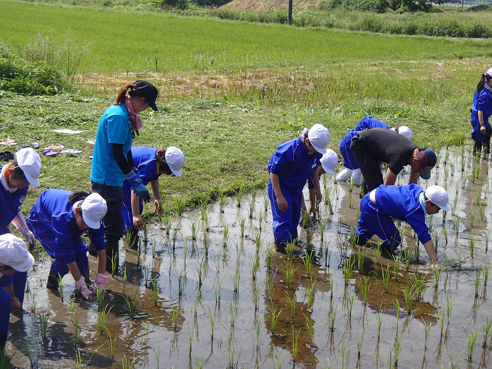 地域おこし協力隊の活動写真