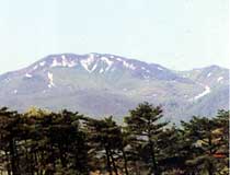 大白森山の写真