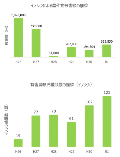 有害鳥獣捕獲隊によるイノシシ捕獲頭数の推移。右肩上がりに増加しており、令和1年の捕獲頭数は125頭です。