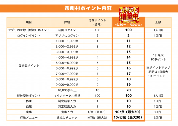 ポイント内容