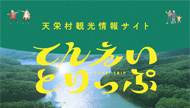 てんえいとりっぷ