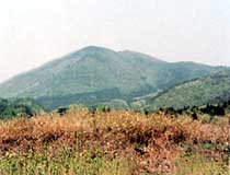 天栄山の写真